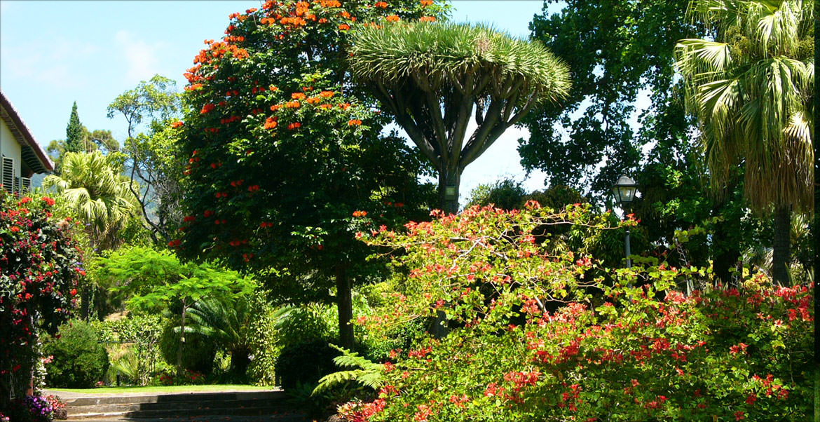 Quinta Jardins dio Lago - Madeira island