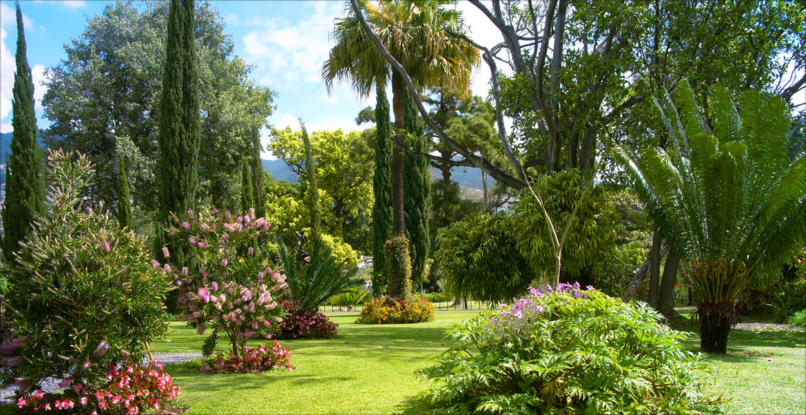 Lush Botanical Gardens