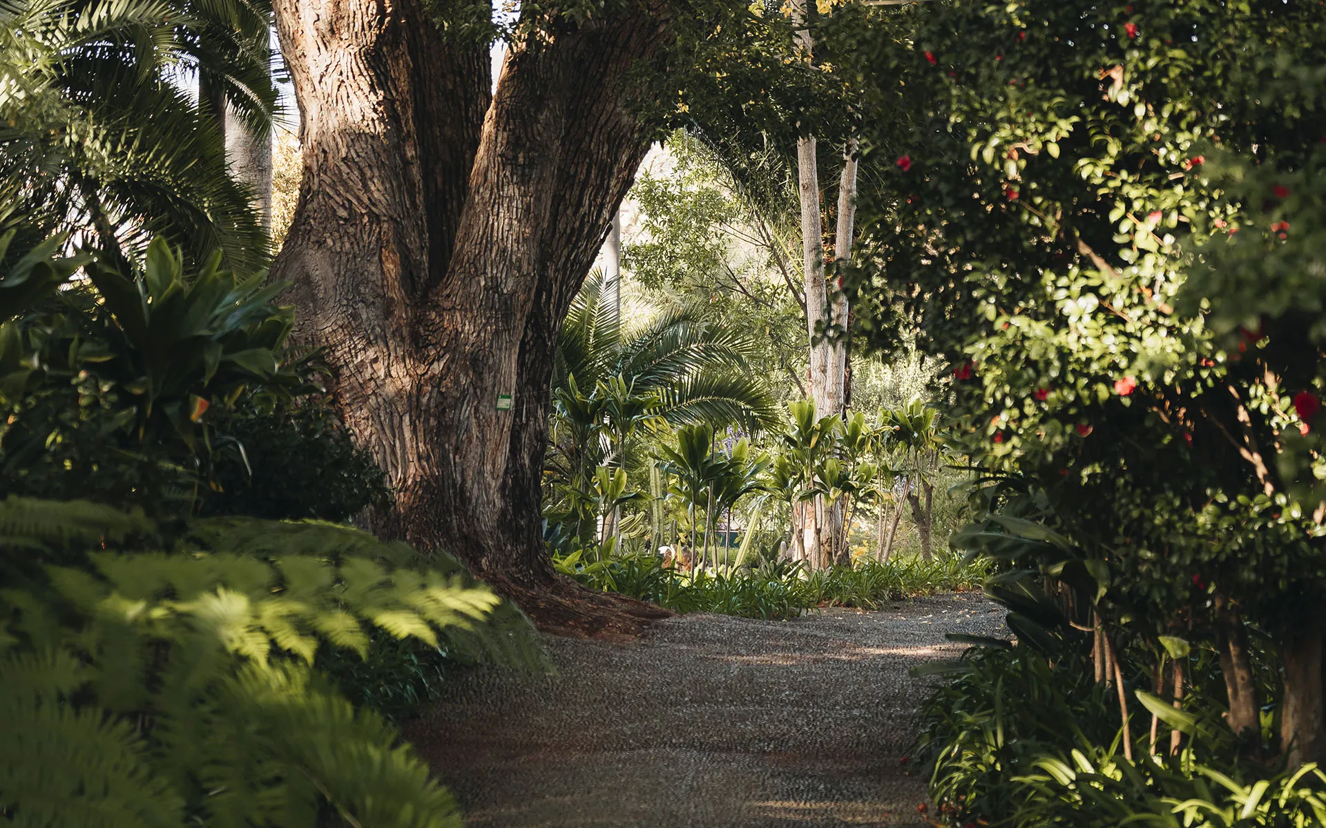Quinta Jardins do Lago slide_0